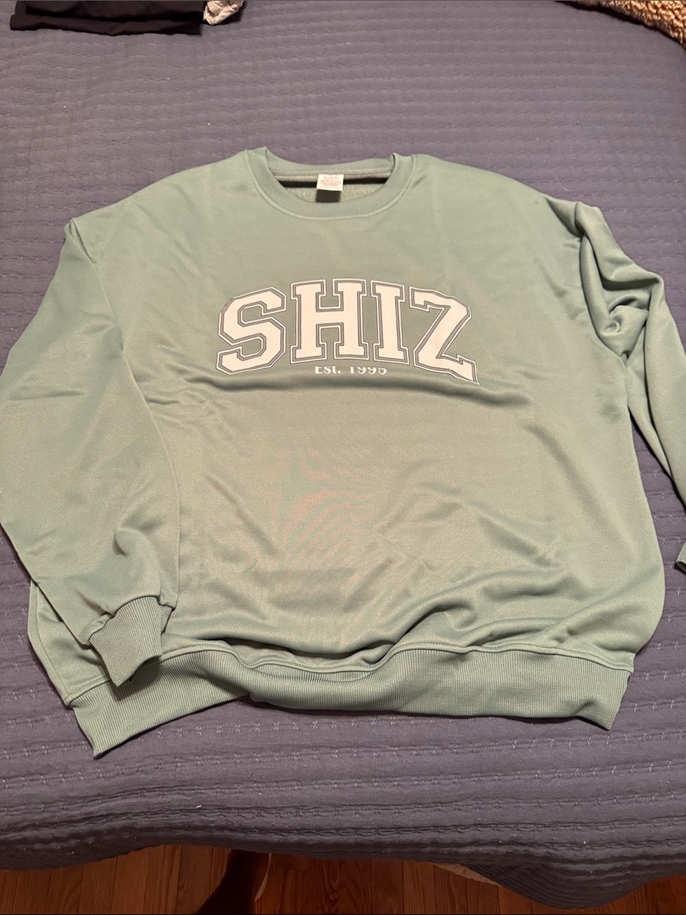 Shi by JOURNEYS Sage Green Crewneck Sweatshirt